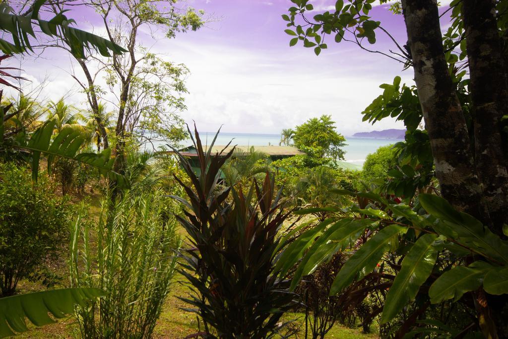 Hotel Rancho Corcovado Drakes Bay 외부 사진